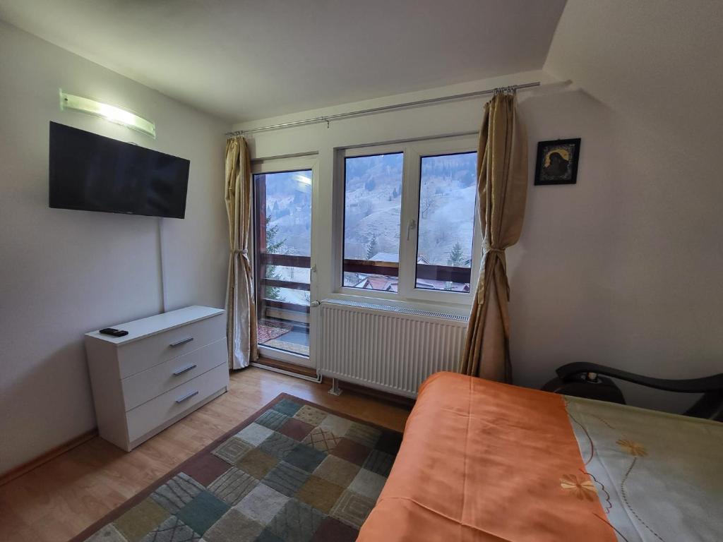 Schlafzimmer mit einem Bett, einem TV und einem Fenster in der Unterkunft Diana's Holiday Home in Podu Dîmboviţei