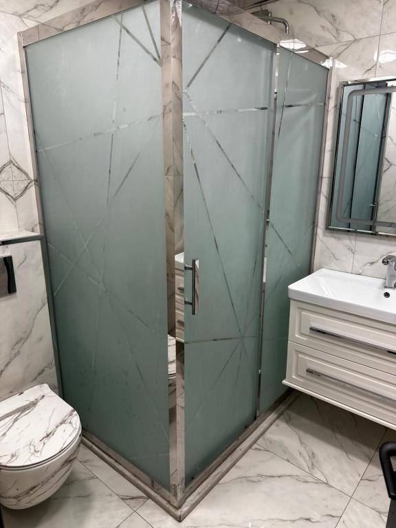 La salle de bains est pourvue d'une douche, de toilettes et d'un lavabo. dans l'établissement Квартира, à Baku
