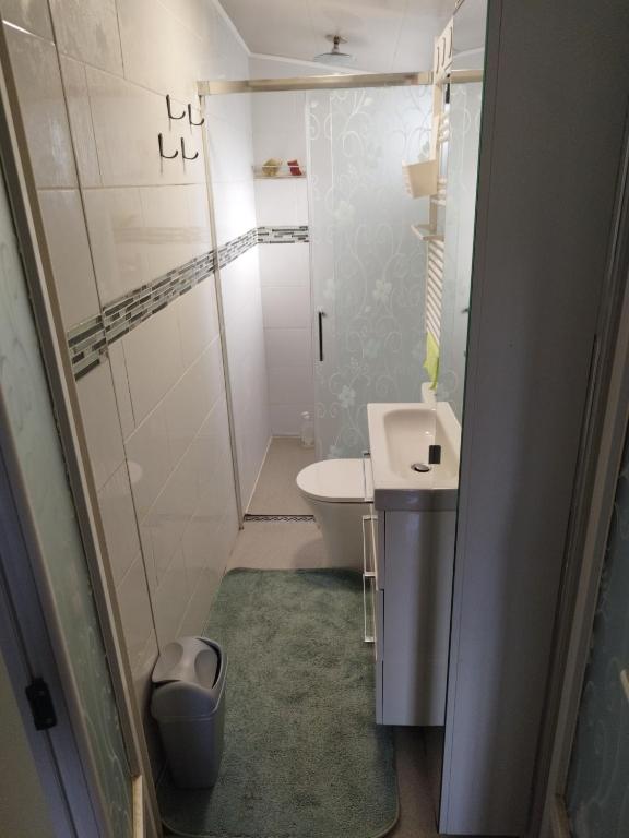 une petite salle de bain avec toilettes et lavabo dans l'établissement Jeux olympiques 24, à Goussainville