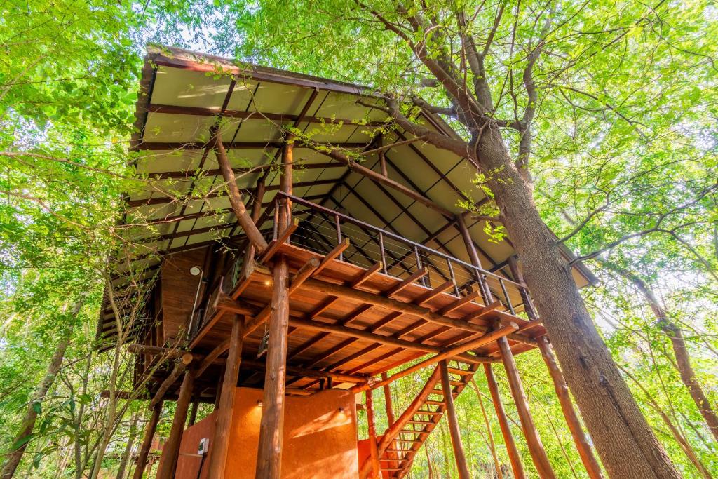 Fotografie z fotogalerie ubytování Kaala Kalaththewa Luxury Eco Resort v destinaci Anuradhápura