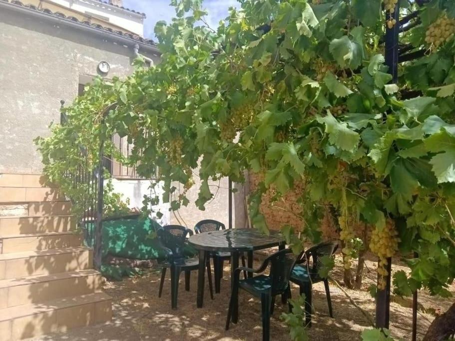 Zahrada ubytování Vivienda rural Los Iberos M&M,