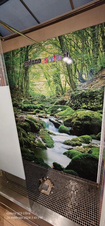 Příroda nedaleko hostelu
