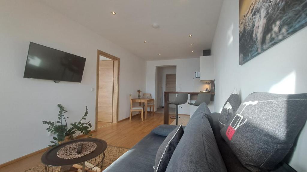 Televízia a/alebo spoločenská miestnosť v ubytovaní Panorama Appartements Filzerhof