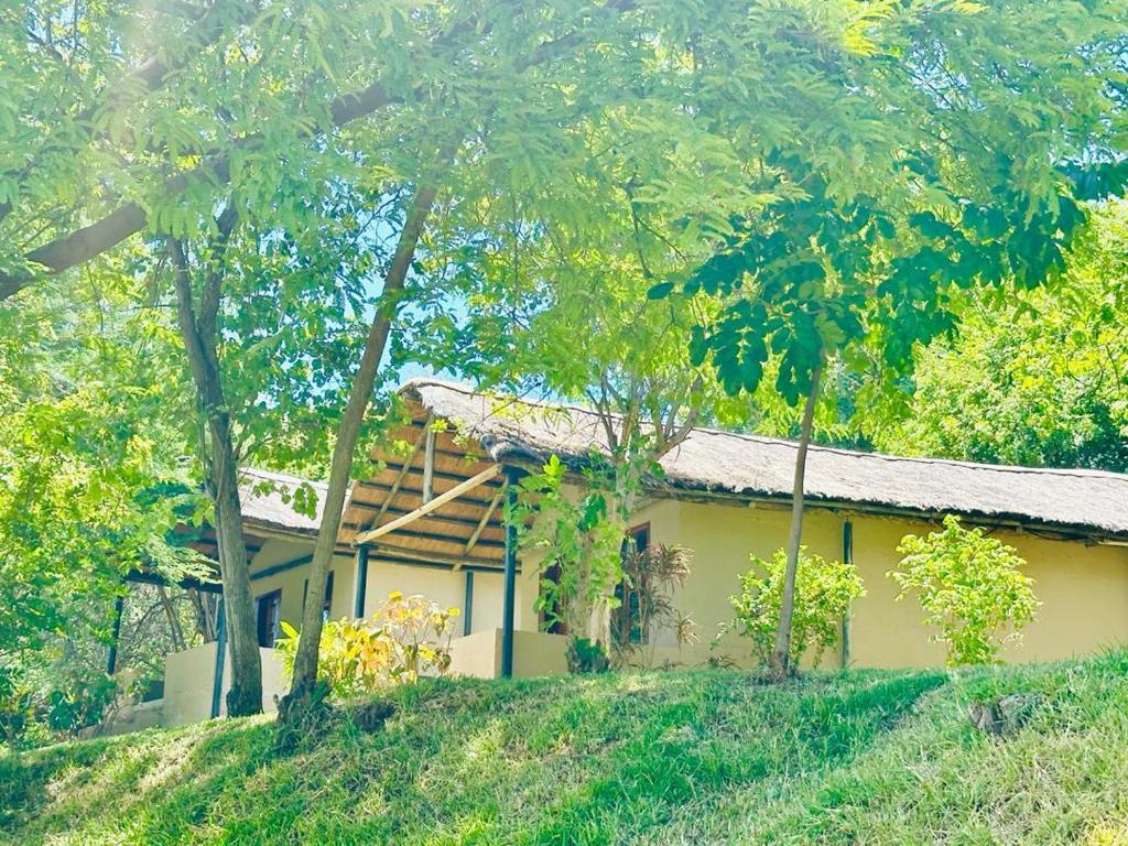 uma casa numa colina com árvores em frente em Winterthorn Lodge em Chiawa