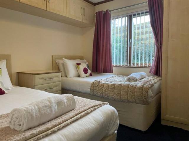 a bedroom with two beds and a window at The Oak Lodge in Aberystwyth