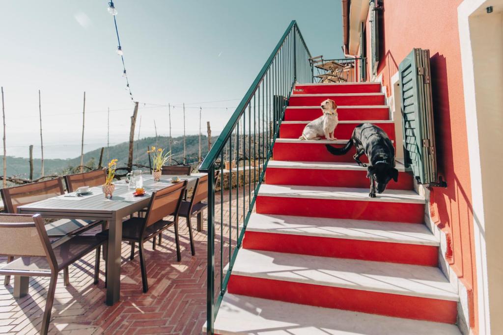 Balkón nebo terasa v ubytování B&B La Volpe