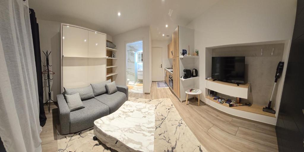 sala de estar con sofá y TV en Studio 2022 terrasse parking 5 min d'Annecy en Poisy