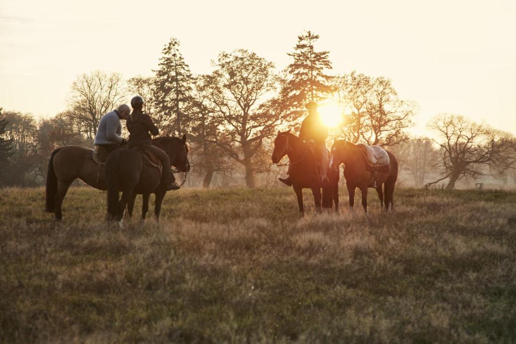 un grupo de personas montando caballos en un campo en Cavalan Ranch, 