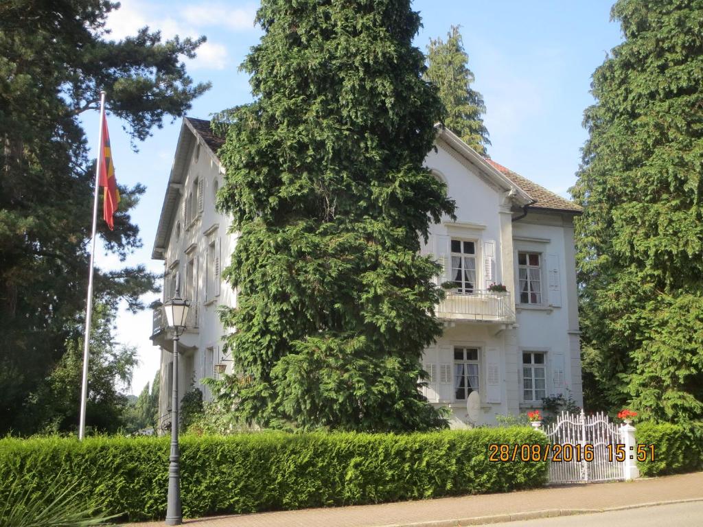 ein großer Baum vor einem weißen Gebäude in der Unterkunft Villa Martha in Badenweiler