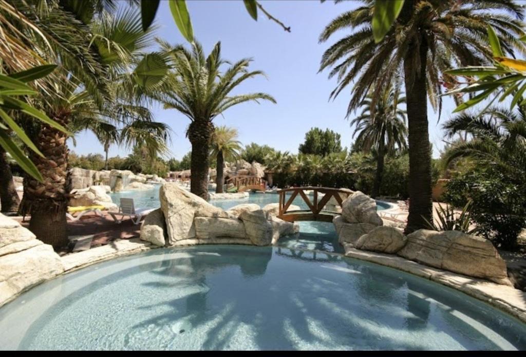 uma grande piscina com palmeiras num resort em Mobil home les sables d'or em Cap d'Agde