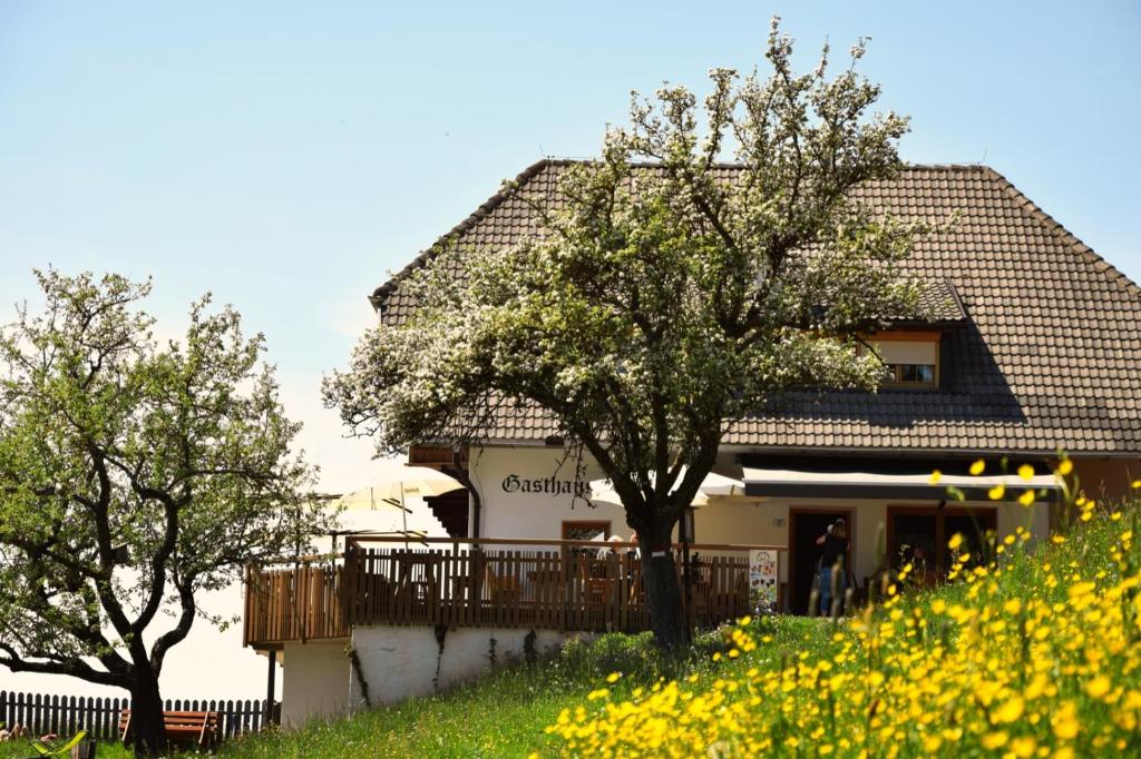 a house on a hill with trees and yellow flowers at Webergütl in Auna di Sopra