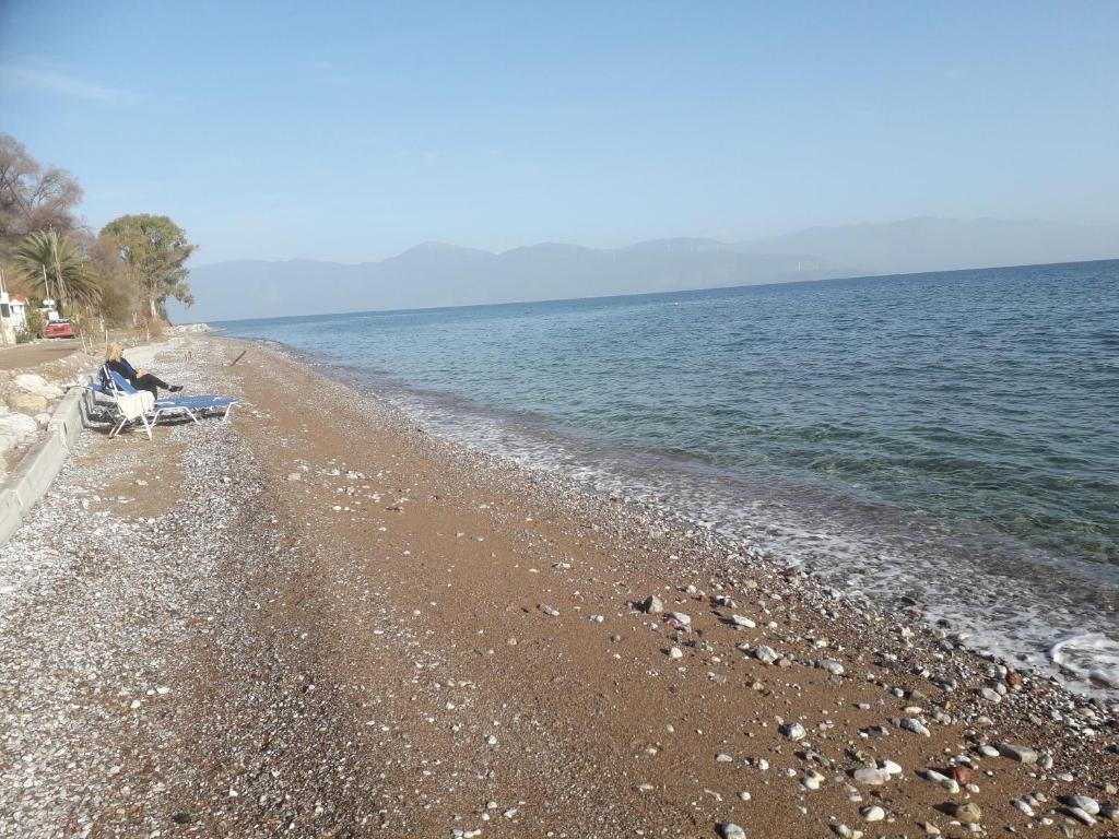 Táj Show holiday homes közelében