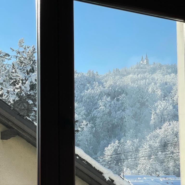 All Seasons Apartments Laško v zimě