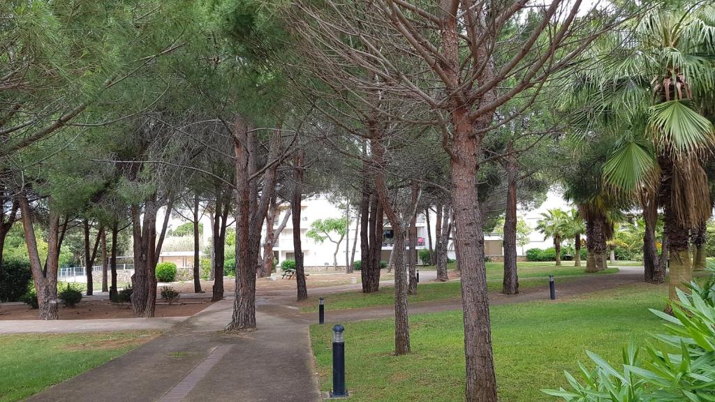 Gallery image of Très beau T3 dans résidence avec piscine à 5 min à pied de la plage et commerces in Calvi