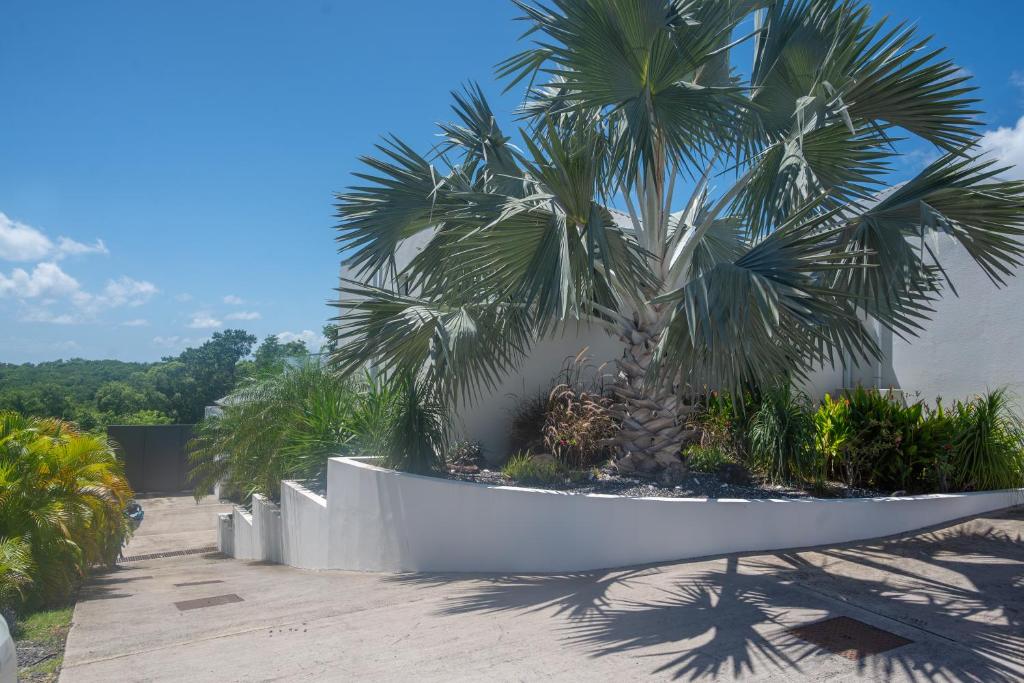 a palm tree sitting next to a white wall at Tropic &amp; Chic in Sainte-Anne