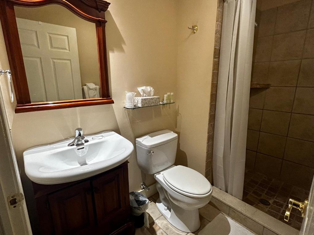 Koupelna v ubytování Hotel Belvidere