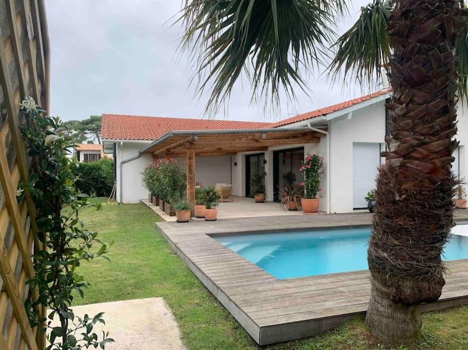 een huis met een zwembad en een palmboom bij Villa proche océan et golf in Anglet