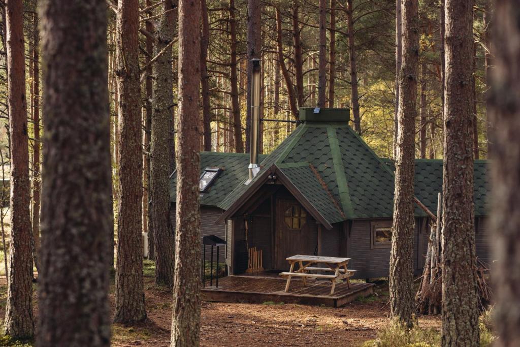 a cabin in the woods with a green roof at Cairngorm Bothies in Aboyne