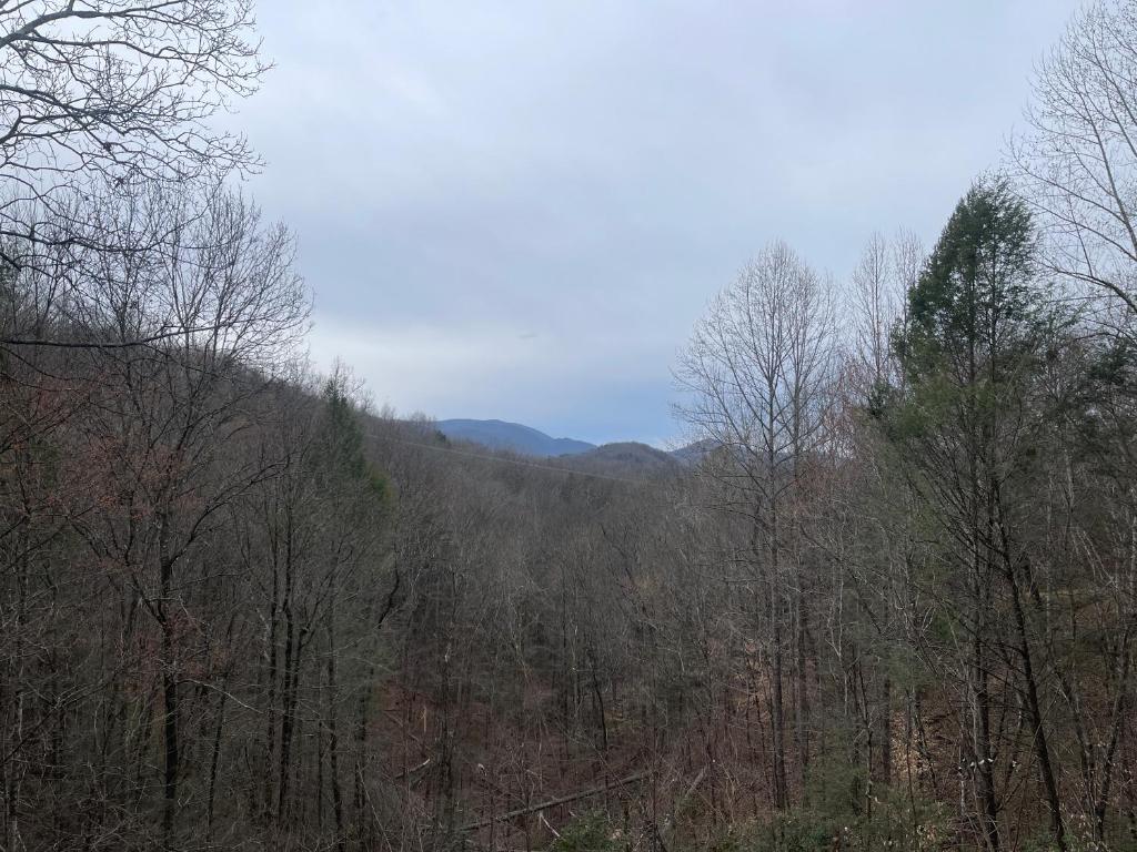 a forest of trees with mountains in the background at Mountain Memories Is A Perfect Mountain Getaway For A Family Or Couples Retreat! in Sevierville