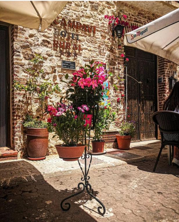 Vonkajšia záhrada v ubytovaní HOTEL RURAL TOCAMPAVI