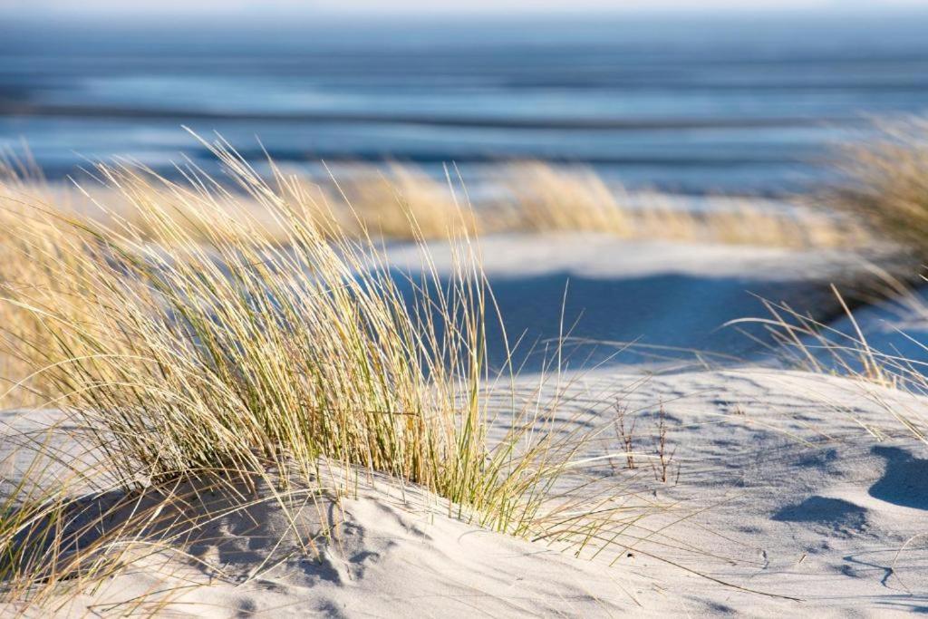 a patch of grass on top of a sandy beach at Luxuswohnzelt ZELT UND SAND direkt am Strand in Dranske