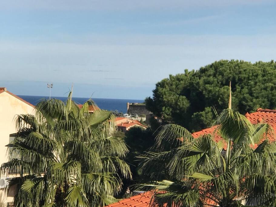 un groupe de palmiers au sommet des toits dans l'établissement T2 2/6 p Clim vue mer piscine parking privé tout à pied, à Collioure