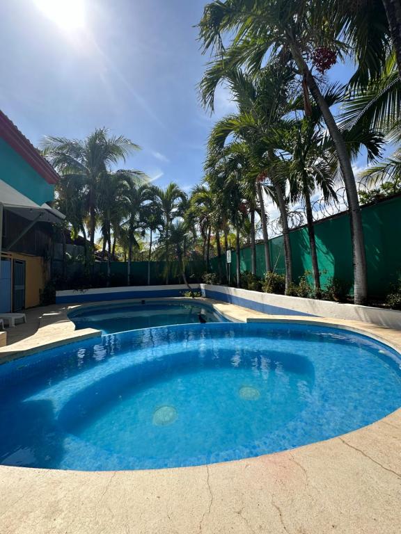 une grande piscine avec des palmiers en arrière-plan dans l'établissement Wide Mouth Frog Conchal, à Brasilito