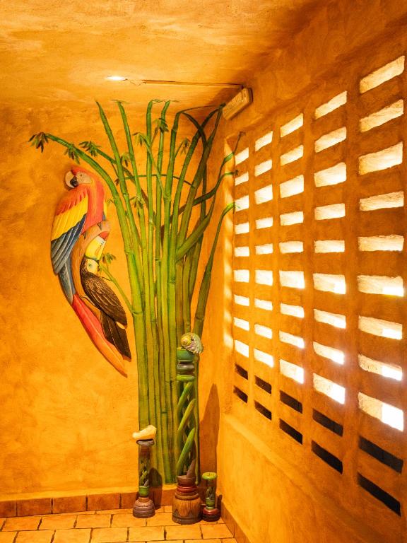 Fotografie z fotogalerie ubytování El Sano Banano Beachside Hotel v destinaci Montezuma