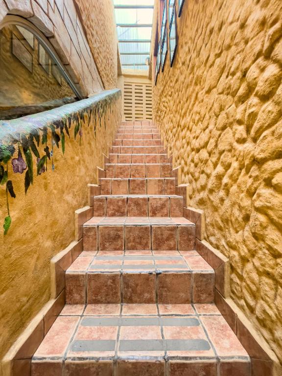 Fotografie z fotogalerie ubytování El Sano Banano Beachside Hotel v destinaci Montezuma