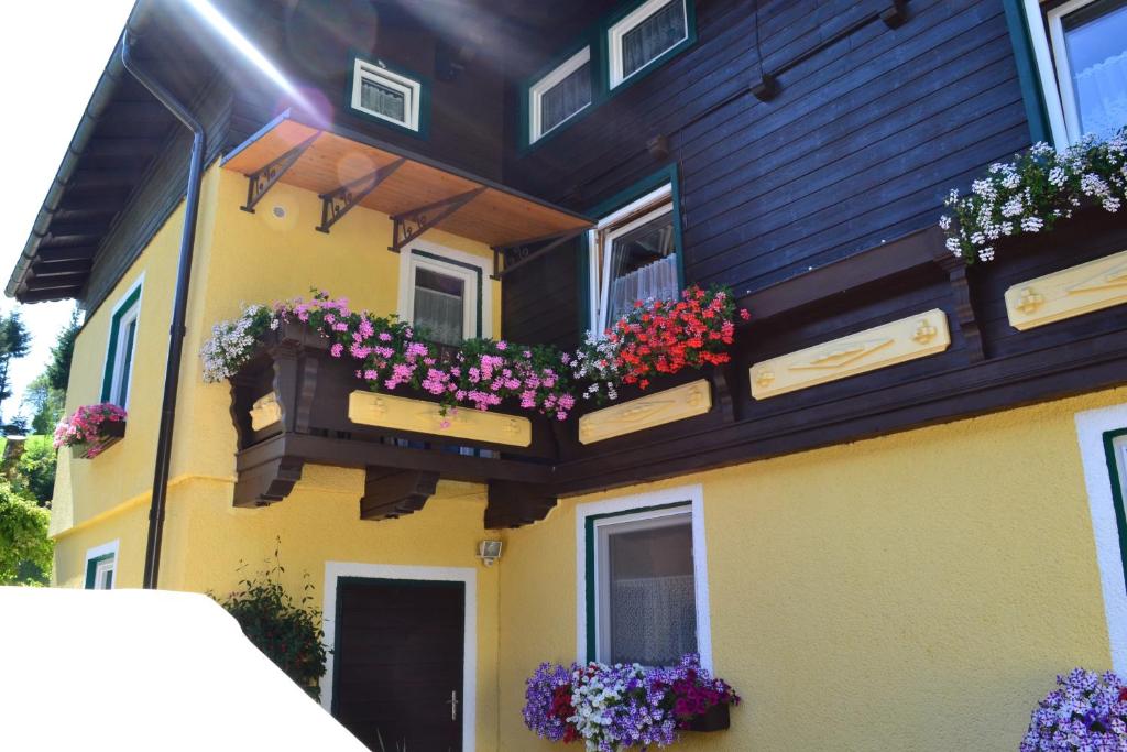 Pension Haus Rohrmoser - 8