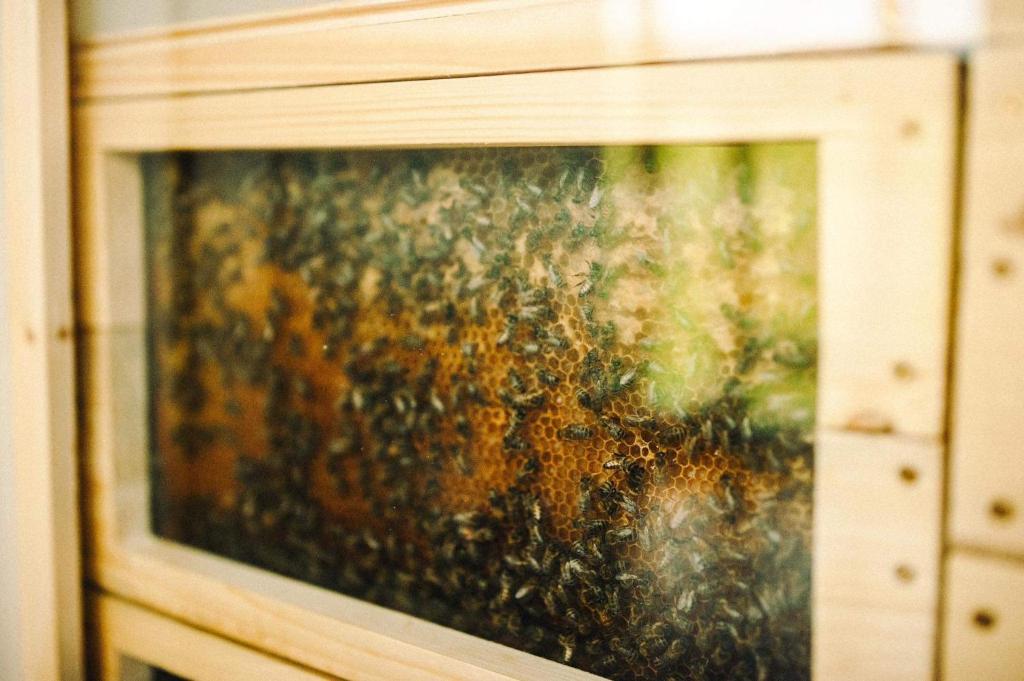 Foto sihtkohas Jablonné v Podještědí asuva majutusasutuse Včelín Müslivna galeriist