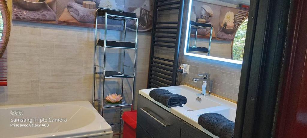 Koupelna v ubytování Péniche Morgane 2 chambre d'hôtes