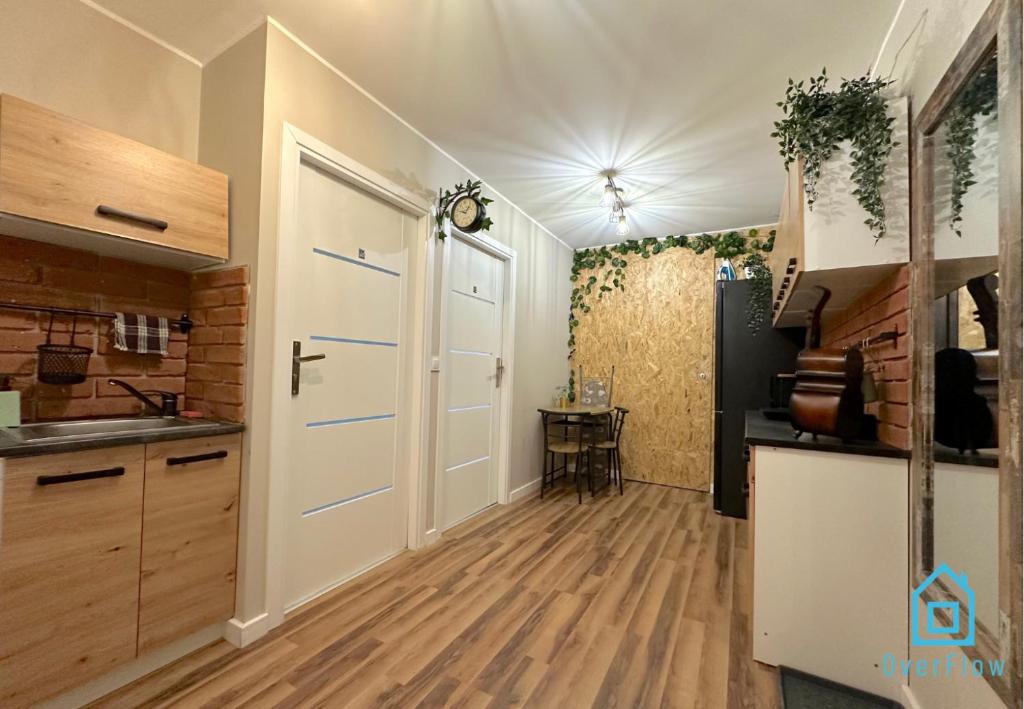 Kuchyňa alebo kuchynka v ubytovaní Vintage room
