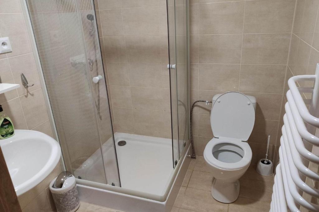 Koupelna v ubytování Apartmany Tatra Relax, Velky Slavkov