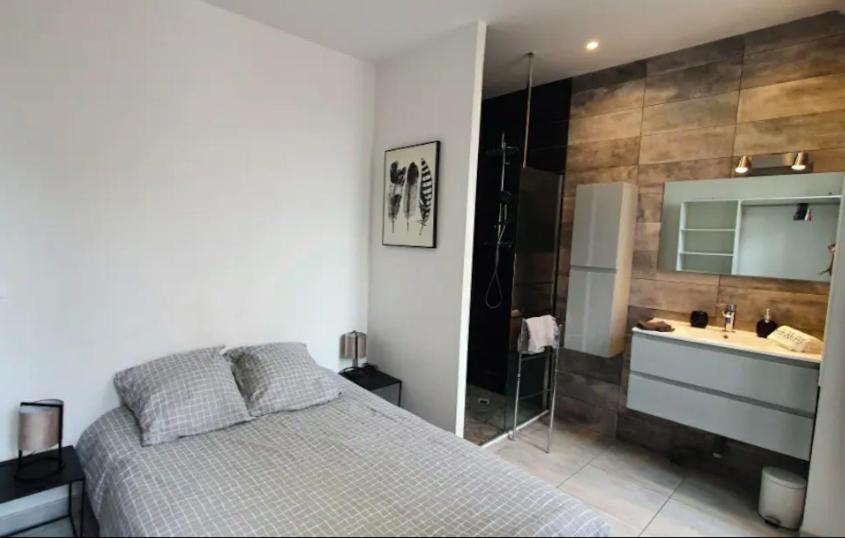 - une chambre avec un lit, une douche et un lavabo dans l'établissement Le 73 Bastide, à Carcassonne