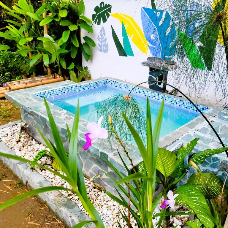 einen Pool in einem Garten mit Pflanzen in der Unterkunft Casa Passaro 2 in Calarcá