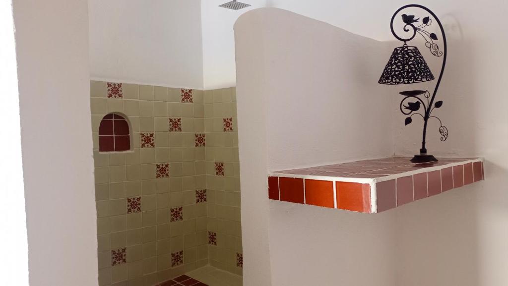 a bathroom with a shower with a shelf at Habitación exclusiva,todos los servicios,Pati privado in Guanajuato