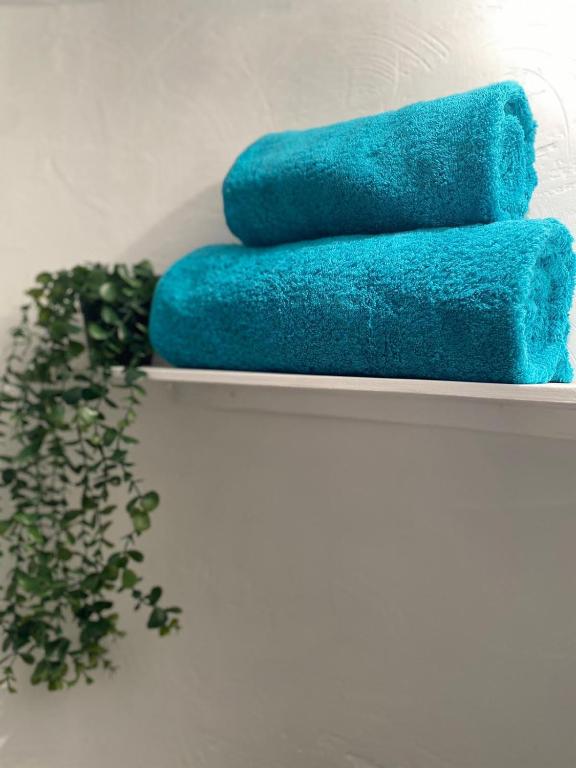 three blue towels on a shelf with a plant at Coquet Studio Cœur de Grasse in Grasse
