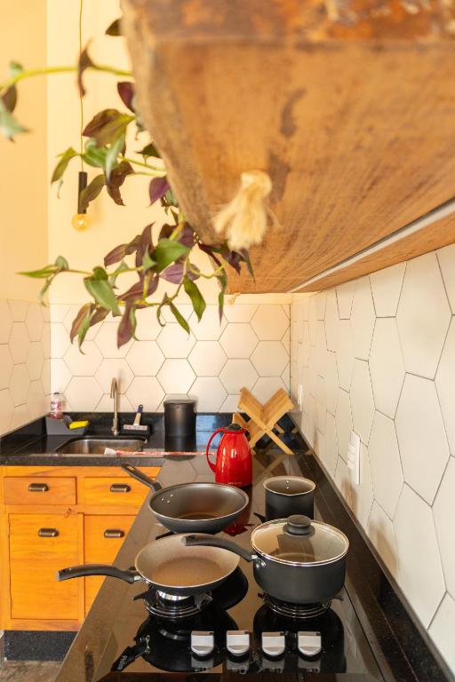 Kuchyň nebo kuchyňský kout v ubytování Lofts Lobo Guará