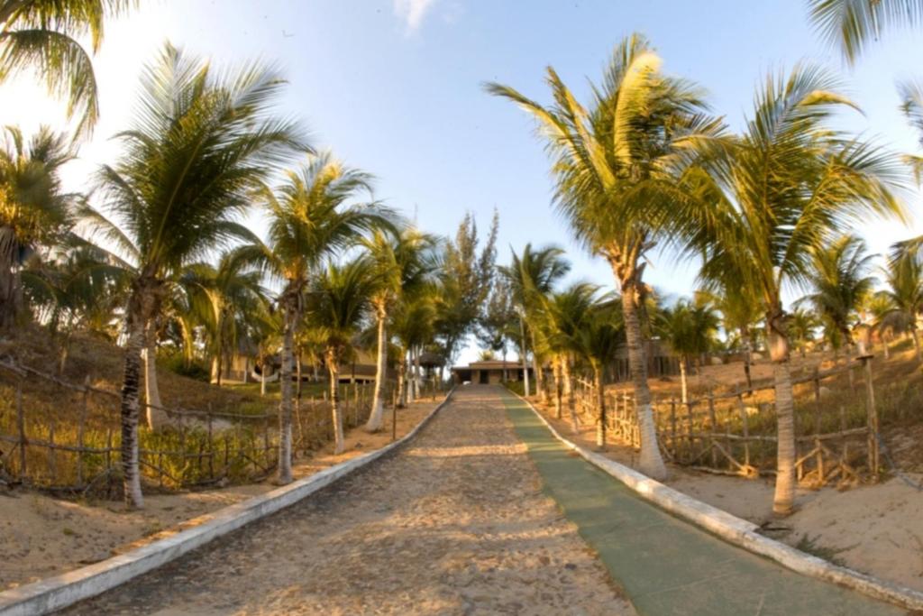  Pousada Sitio Phoenix