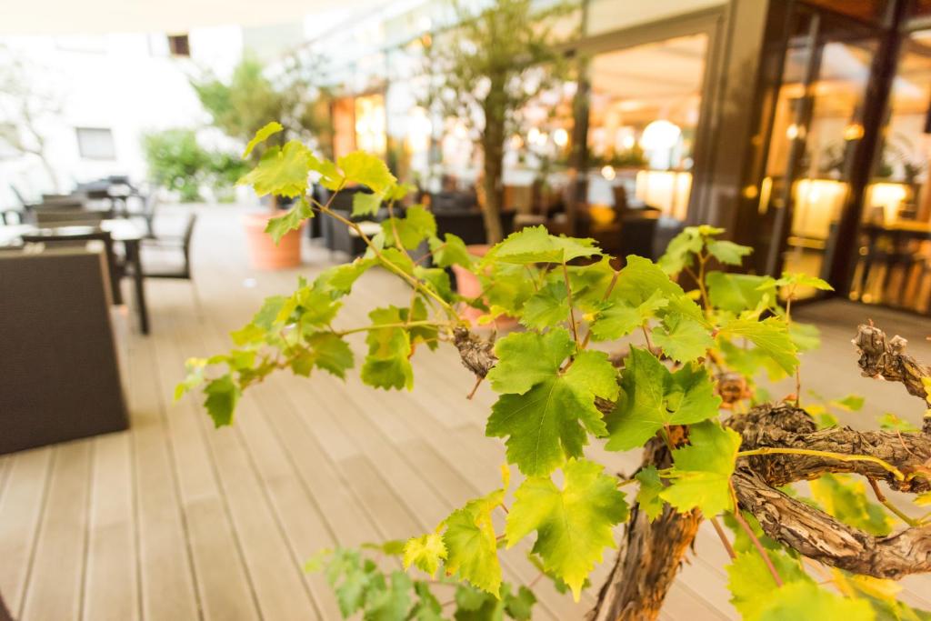 Hotel Stuttgart 21 - Resim 29