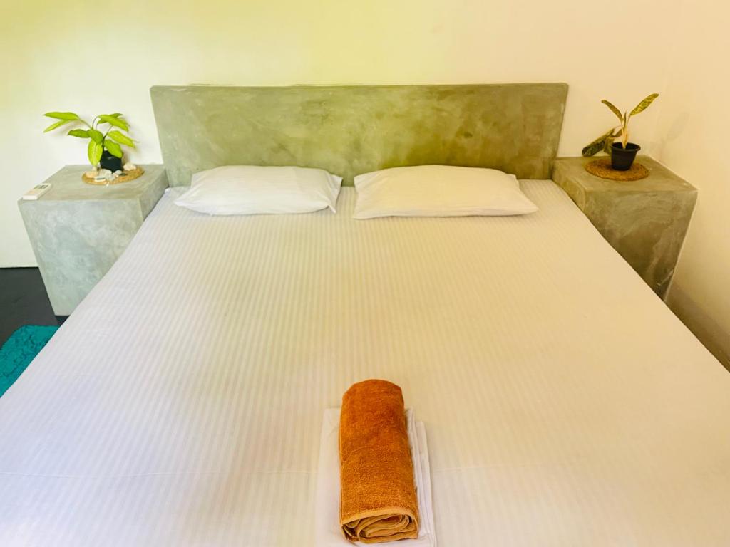 Nature Rex Hostel - 6