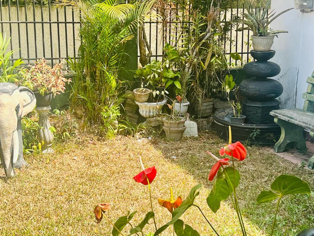 einen Garten mit einer Bank und einem Haufen Pflanzen in der Unterkunft Kalanı villa in Kotugoda