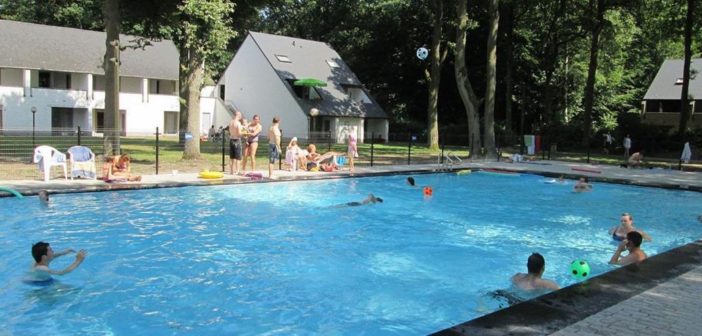 een groep mensen in een zwembad bij Hengelhoef Berk 5 in Aan de Wolfsberg