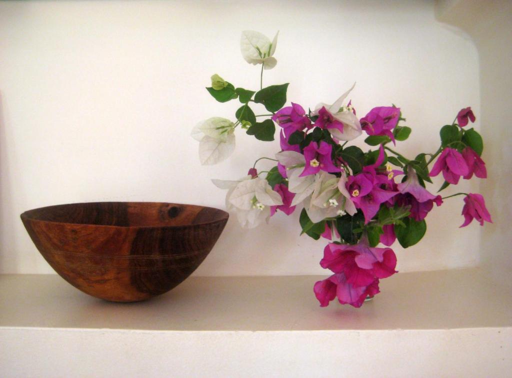 Galería fotográfica de Tifawin Home And Garden en Mirleft