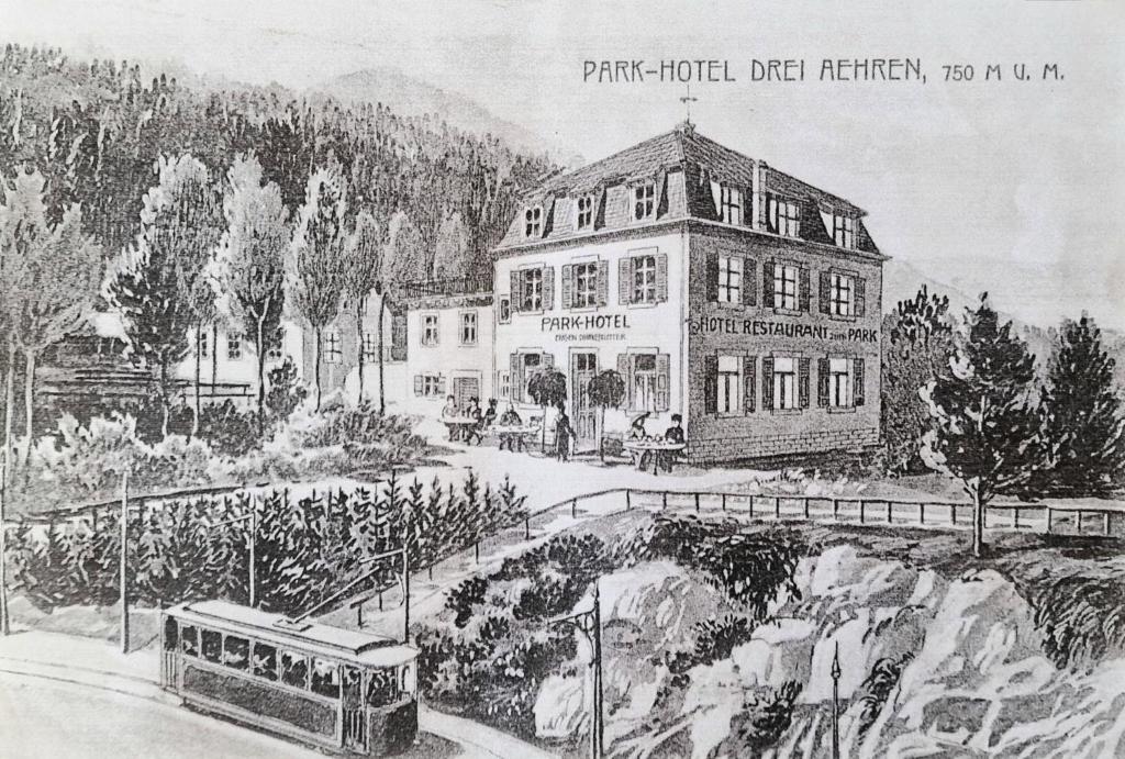 La Villa du Parc - Alsace & Vosges - Superior Appartement Met Sauna