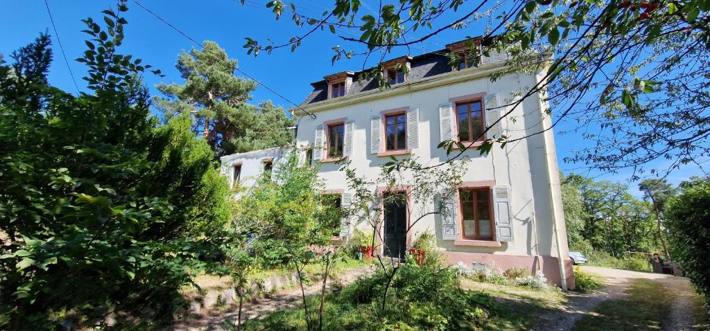 La Villa du Parc - Alsace & Vosges - Superieur Appartement