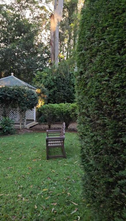 a bench sitting in the grass next to a hedge at The Gamekeepers Spa Cottage in Tamborine Mountain in Mount Tamborine