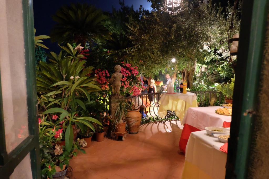 Zahrada ubytování Hotel Villa Nettuno