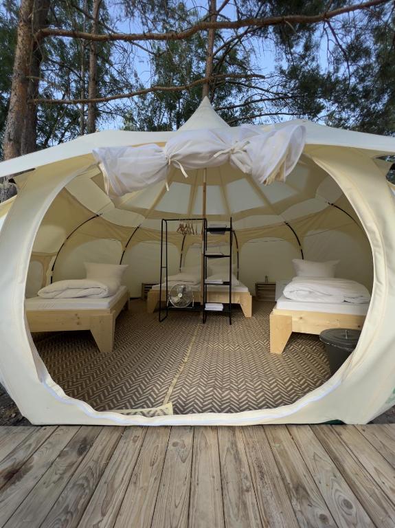 raus und gut Glamping am Gräbendorfer See - Quadruple Room With Terrace